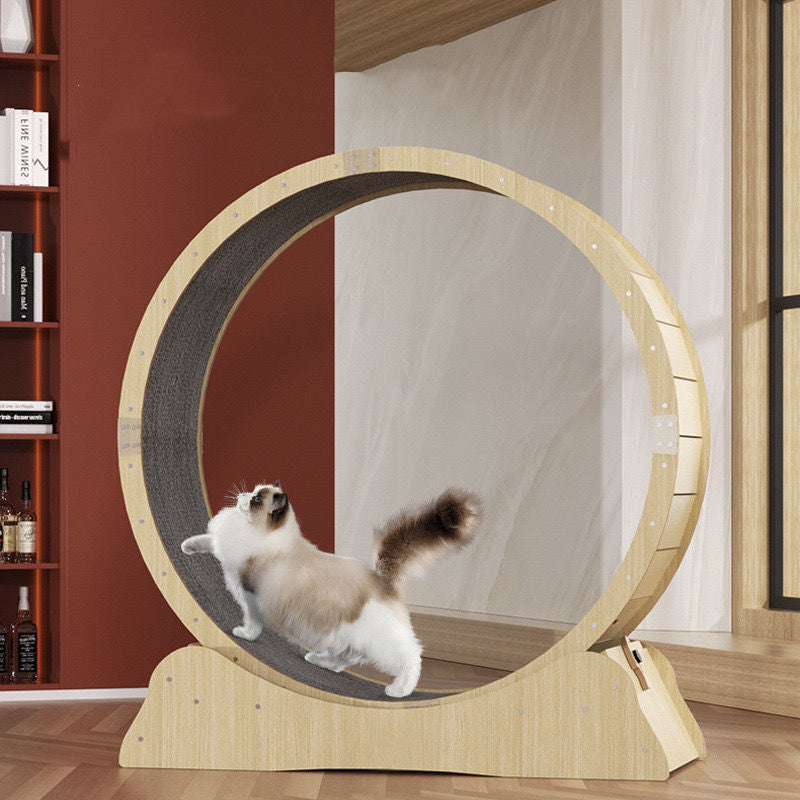 How to Choose the Right Toy for Your Pet's Play Style