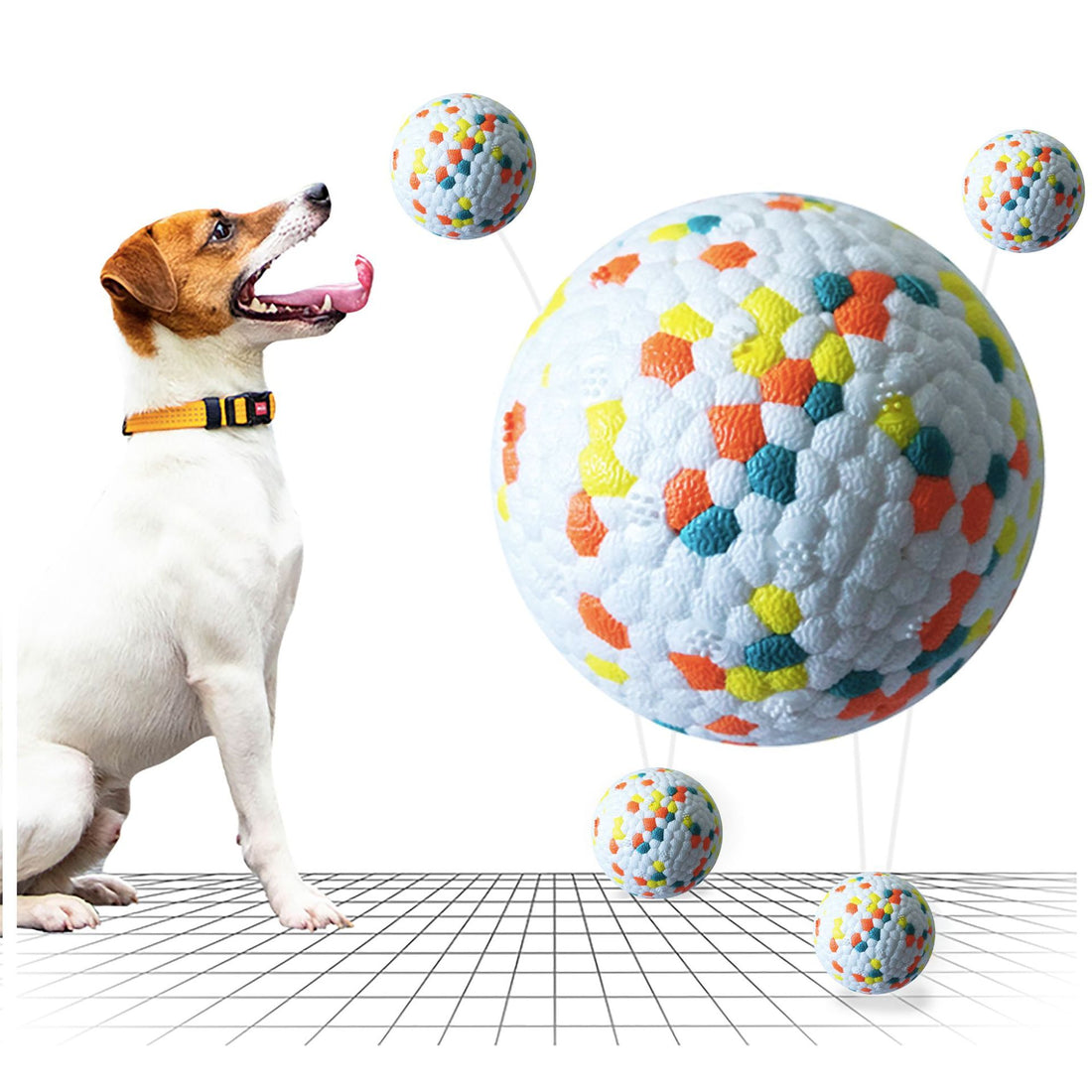 7 Signs Your Dog Is Bored — And What to Do About It