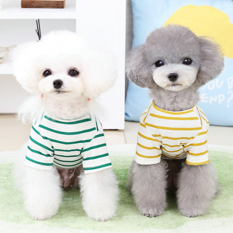 How to Choose the Right Clothes for Your Pet